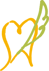 1日1人限定無料歯科相談